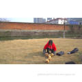 /msite/products/detail/productid/57669410/id/678029.html